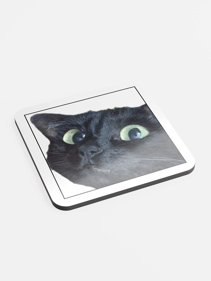 Memori Coaster product image (2)