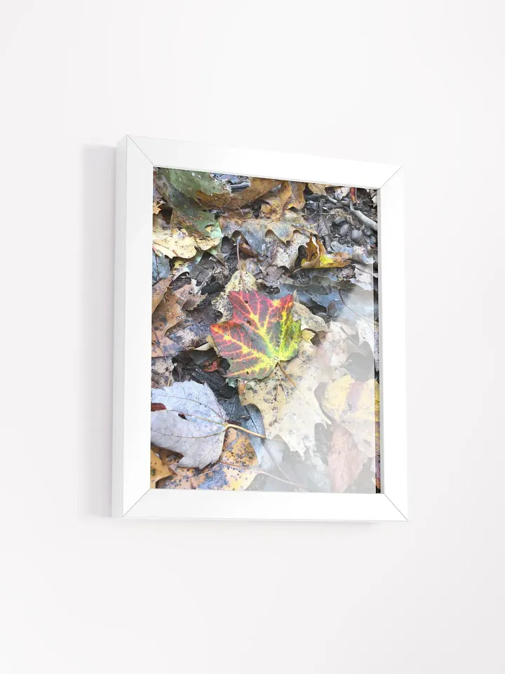 Natural Fall Leaf High Quality Matte Poster product image (2)