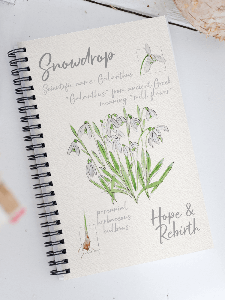 Snowdrop Flower Field Notes Style Notebook product image (1)