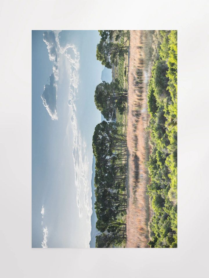 Print - Pahranagat Wildlife Refuge, Nevada product image (1)