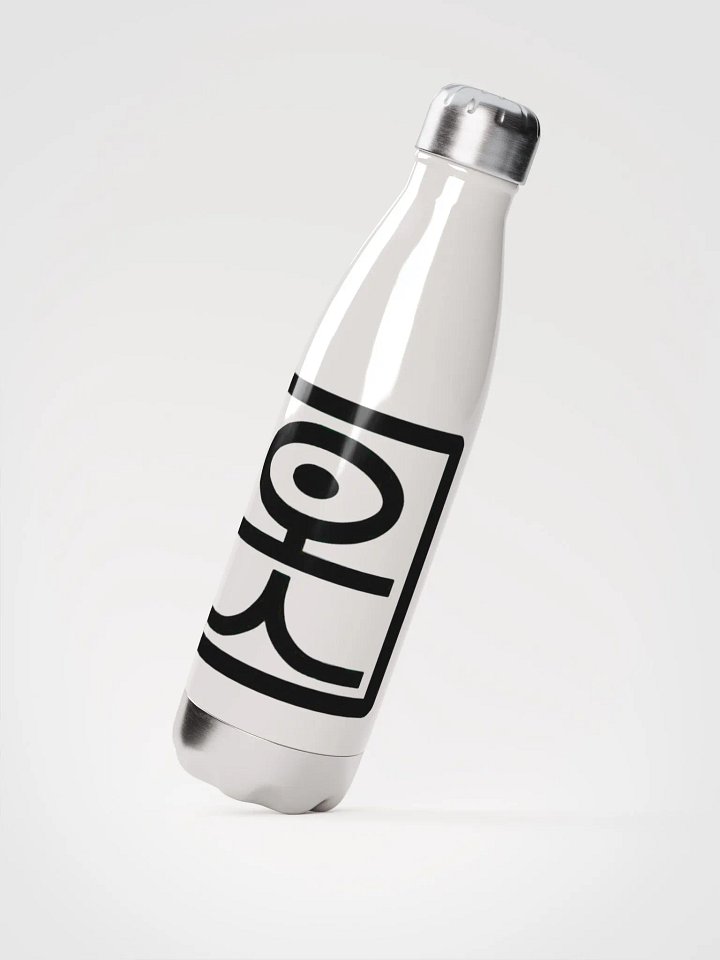 Stainless steel water bottle product image (2)