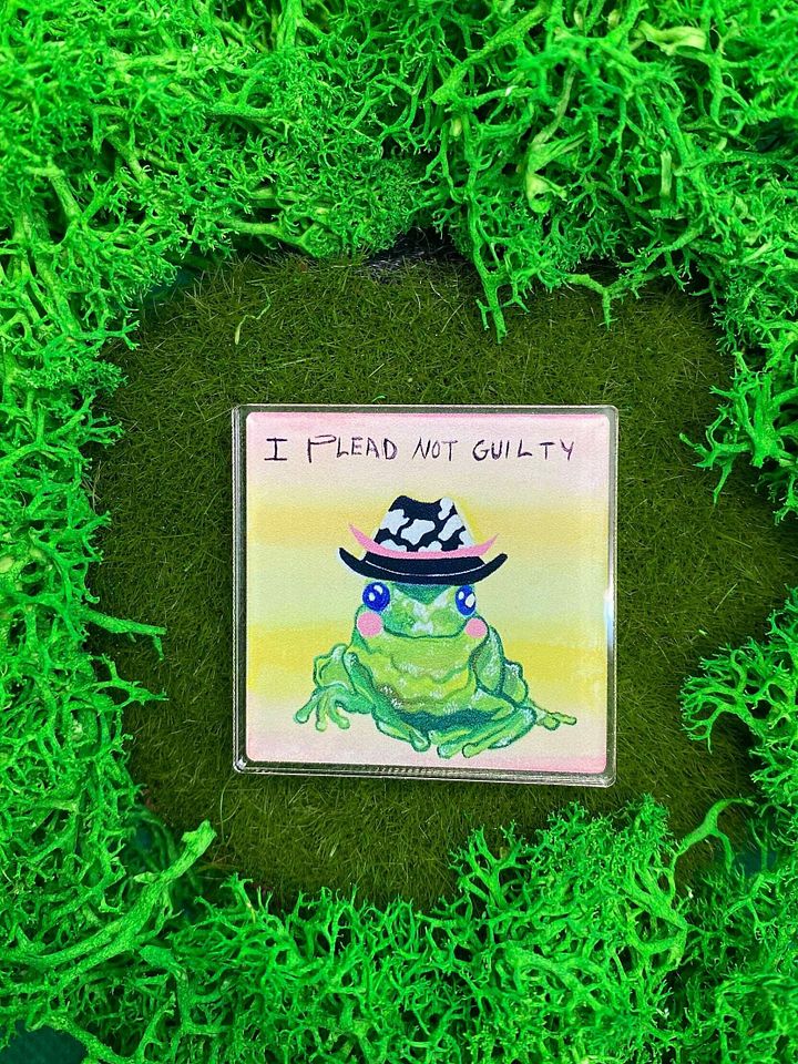 Not Guilty Frog Acrylic Pin product image (1)