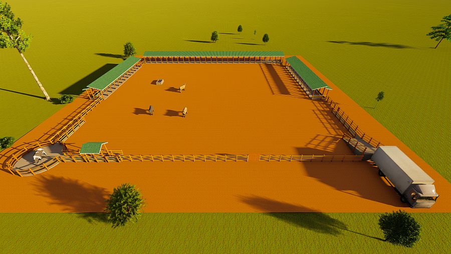 1000 Bulls Feedlot Design Plan product image (3)