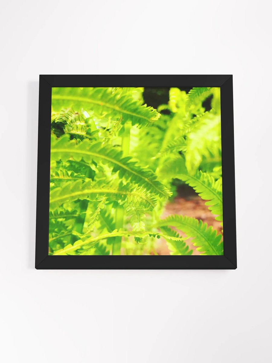Element 2 product image (4)
