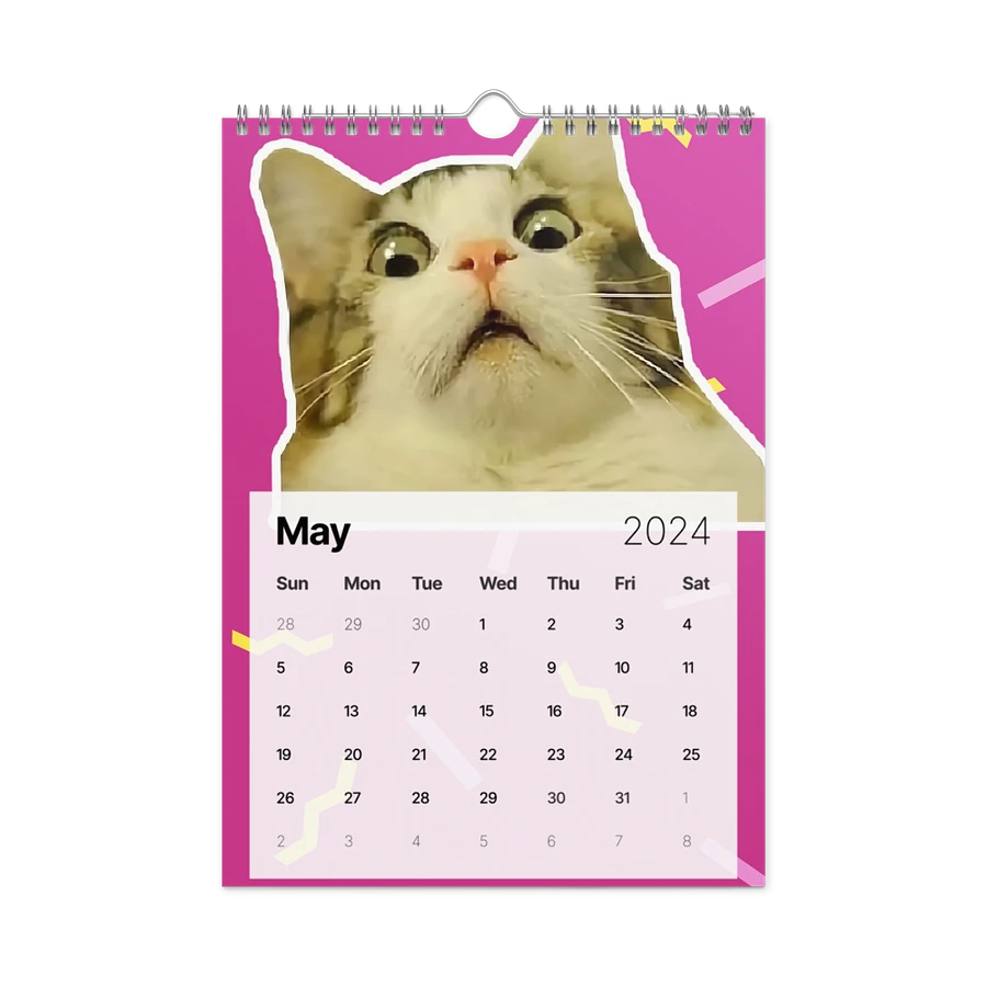 Wall Calendar (2024): Meme Cats product image (14)