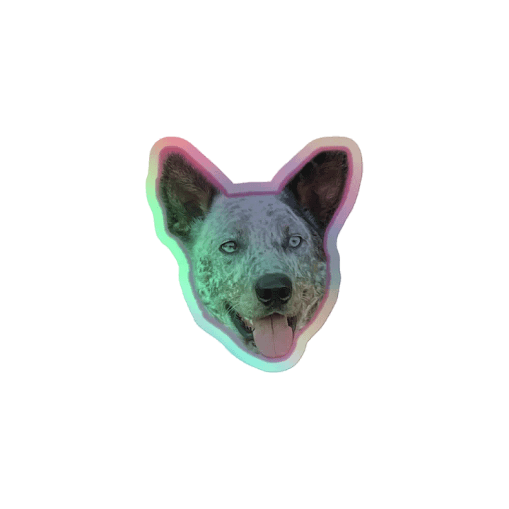 Dusk-A-Rooney Holographic Sticker product image (1)