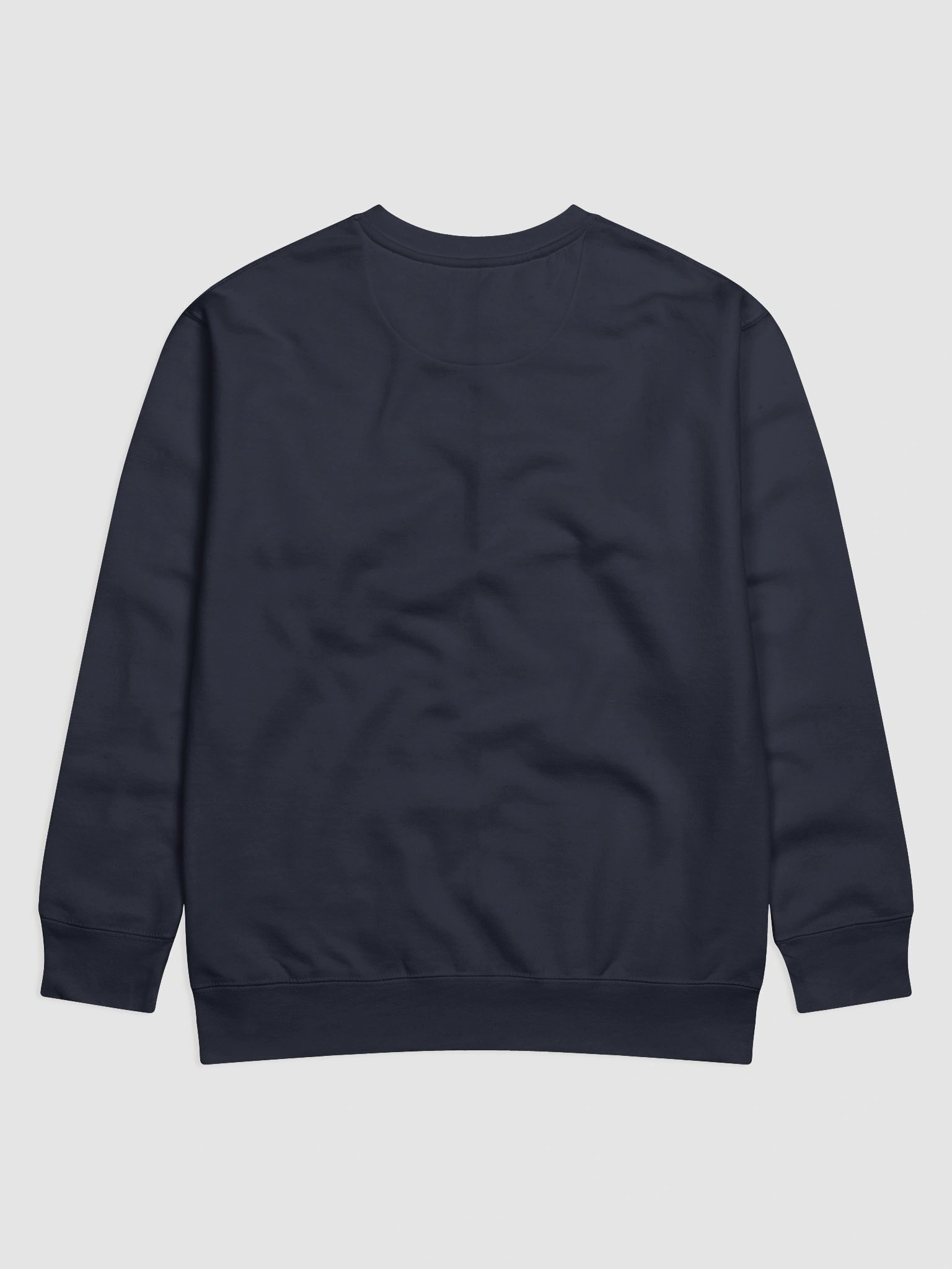 Spooky Skeleton and Ghostly Pupil Premium Sweatshirt product image (36)