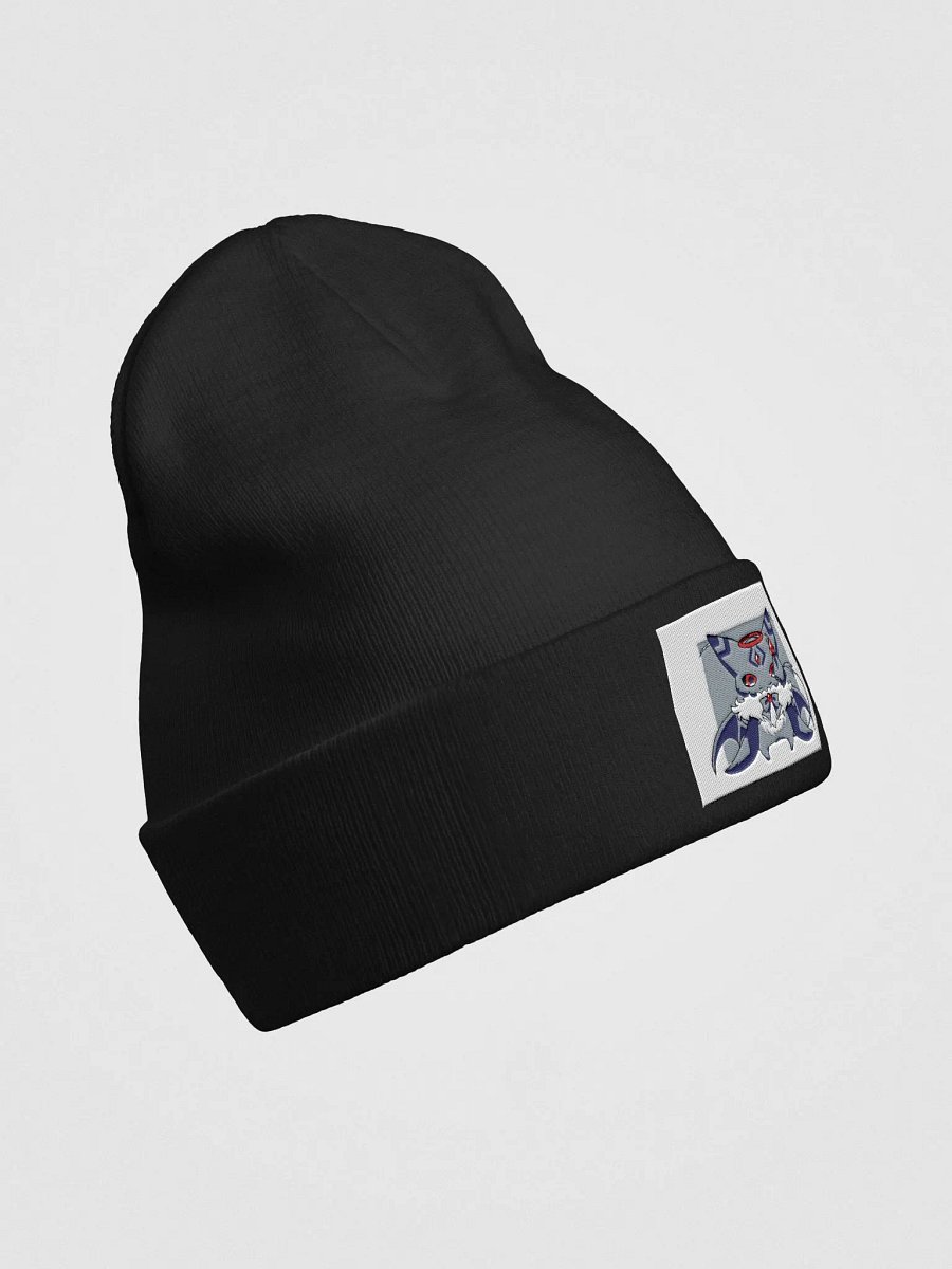 beanie product image (18)