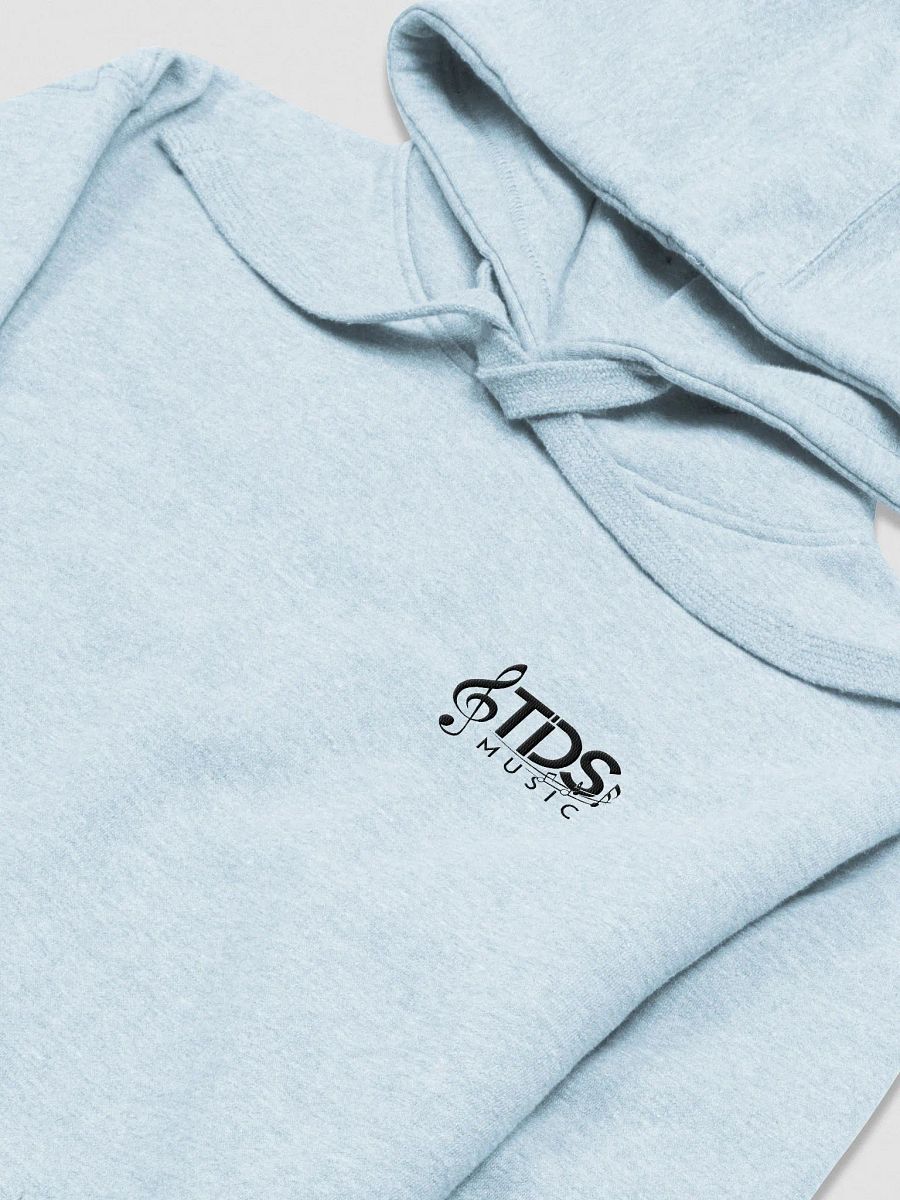 TDS Music Unisex Premium Hoodie - Exclusive Music Note Design product image (3)