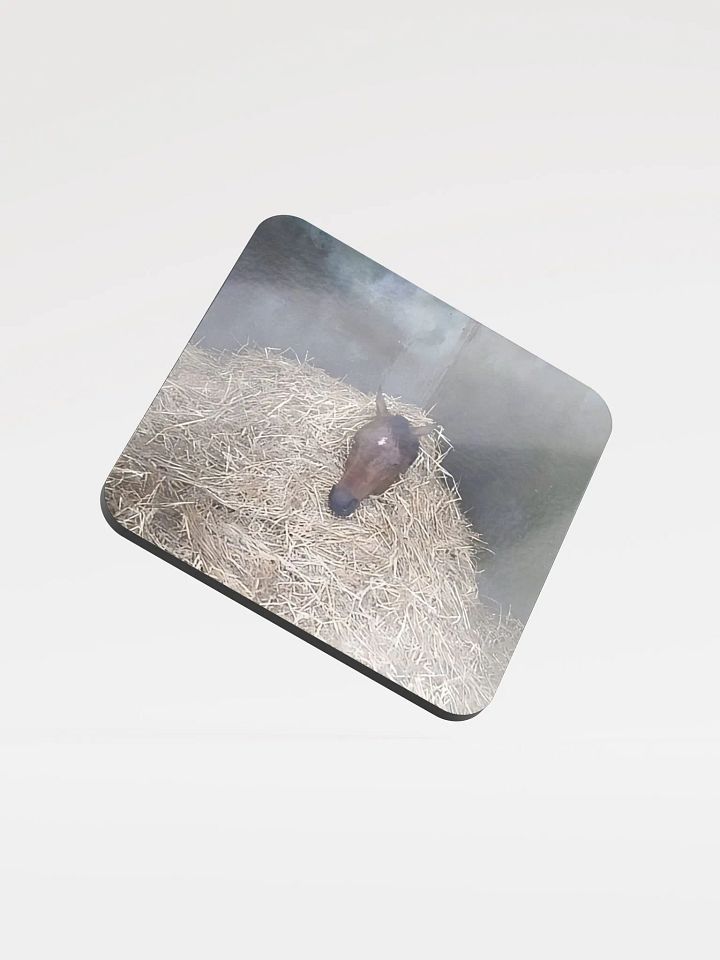 HERC Horse Coaster product image (1)
