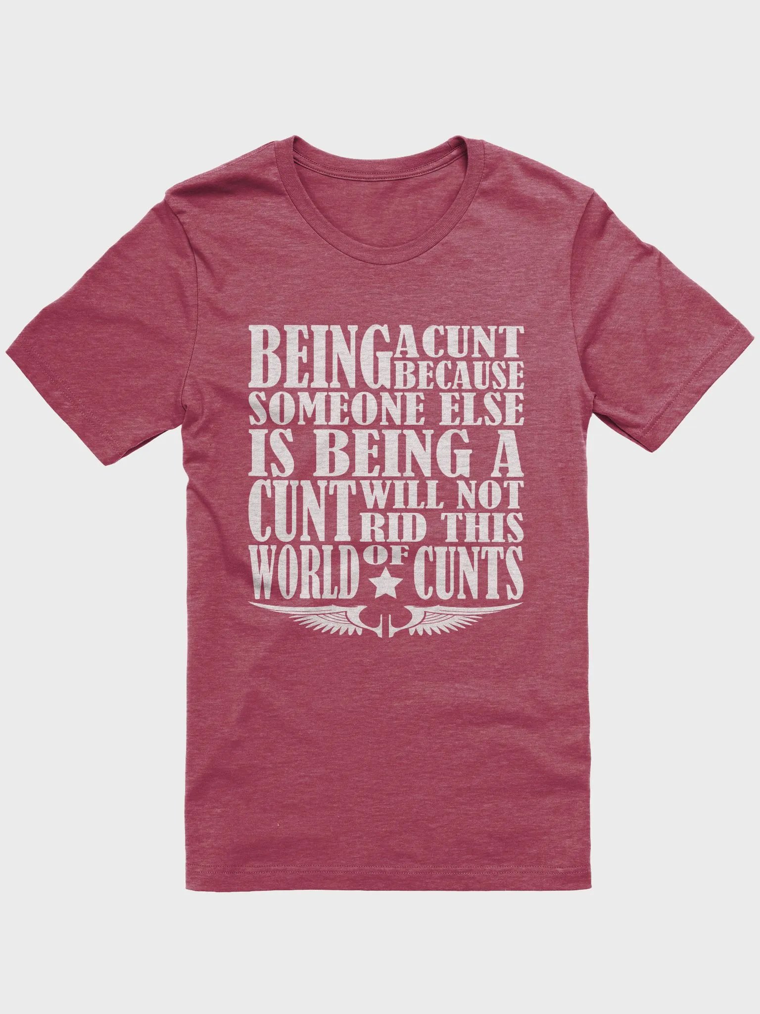 Stop Being A Cunt - White Lettering - Bella+Canvas Supersoft T-Shirt product image (2)