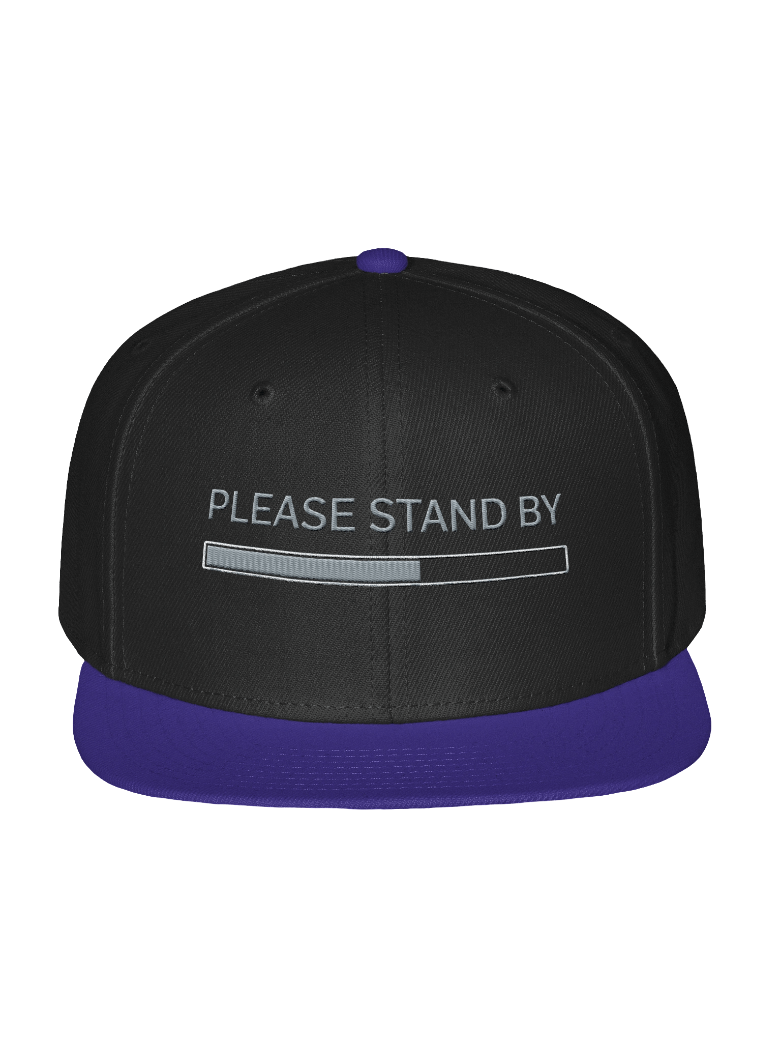 Please Stand By Snapback | Neurodivergent Rest Hat product image (69)