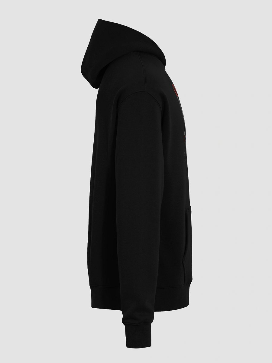 Fallen Angel Lessons of the past Hoodie product image (8)