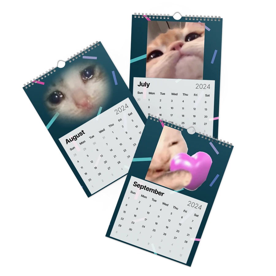 Wall Calendar (2024): Meme Cats product image (11)