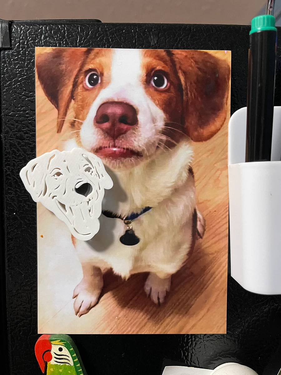 Pet Magnets product image (2)