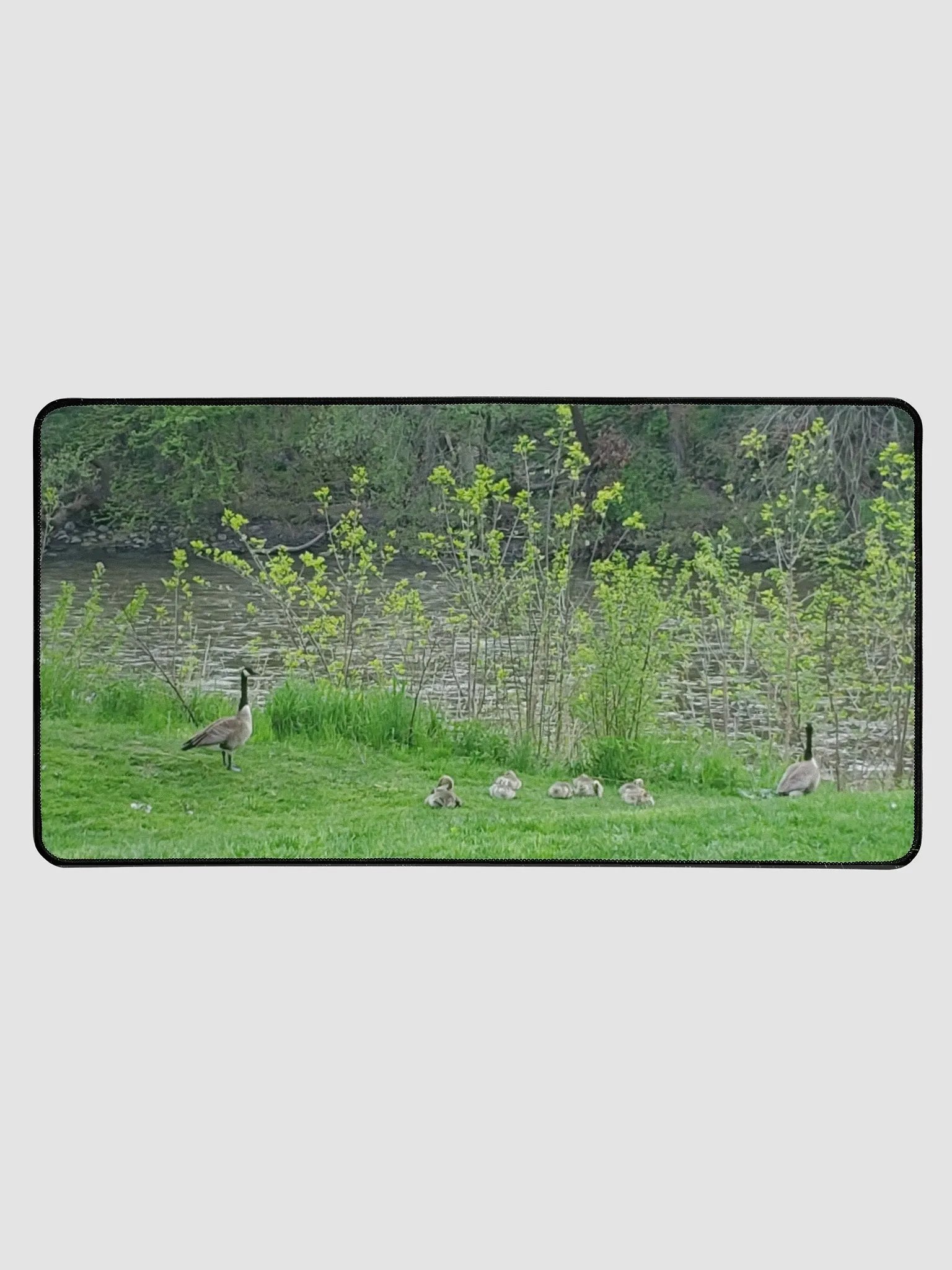 Canadian Goose Family Desk Mat product image (1)