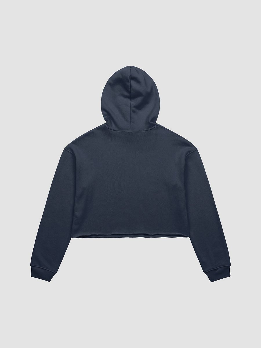Mom Style Bedside Manner Crop Hoodie product image (13)