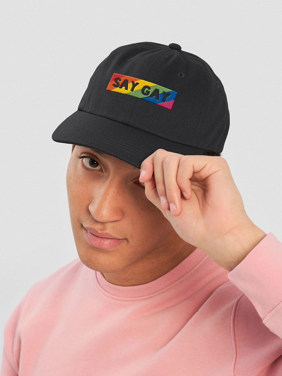 Say Gay #2 - Embroidered Hat product image (5)