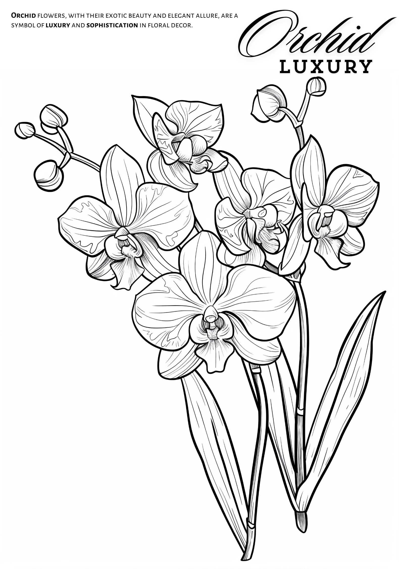 Flowers Coloring Book product image (4)