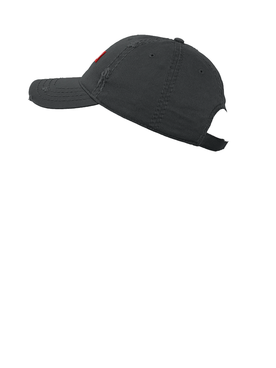 Dèudonï Red Label Distressed Dad Hat product image (31)
