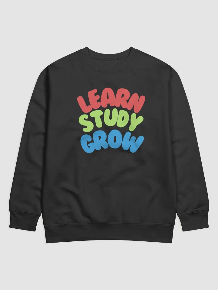 WTSBR Sweatshirt product image (1)
