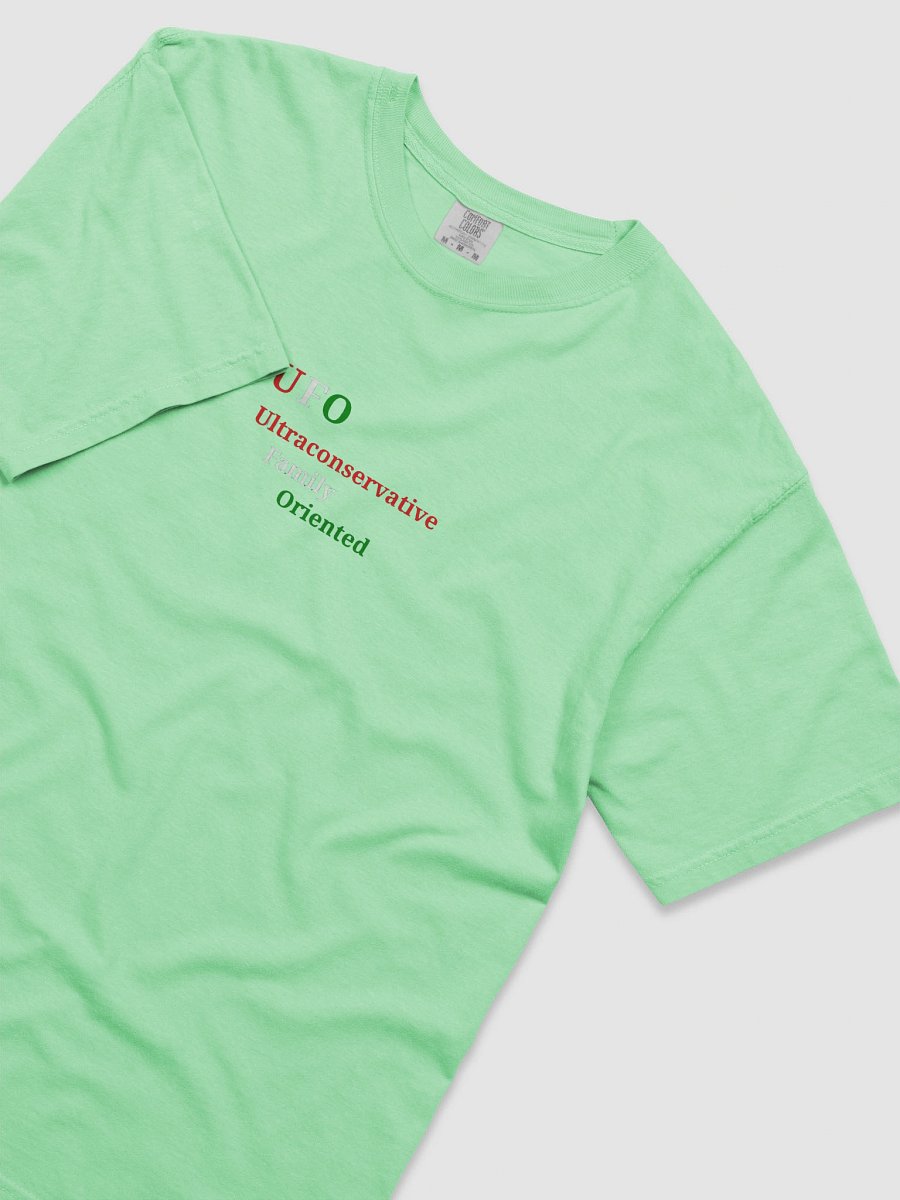 UFO Ultraconservative Family Oriented Tee product image (5)