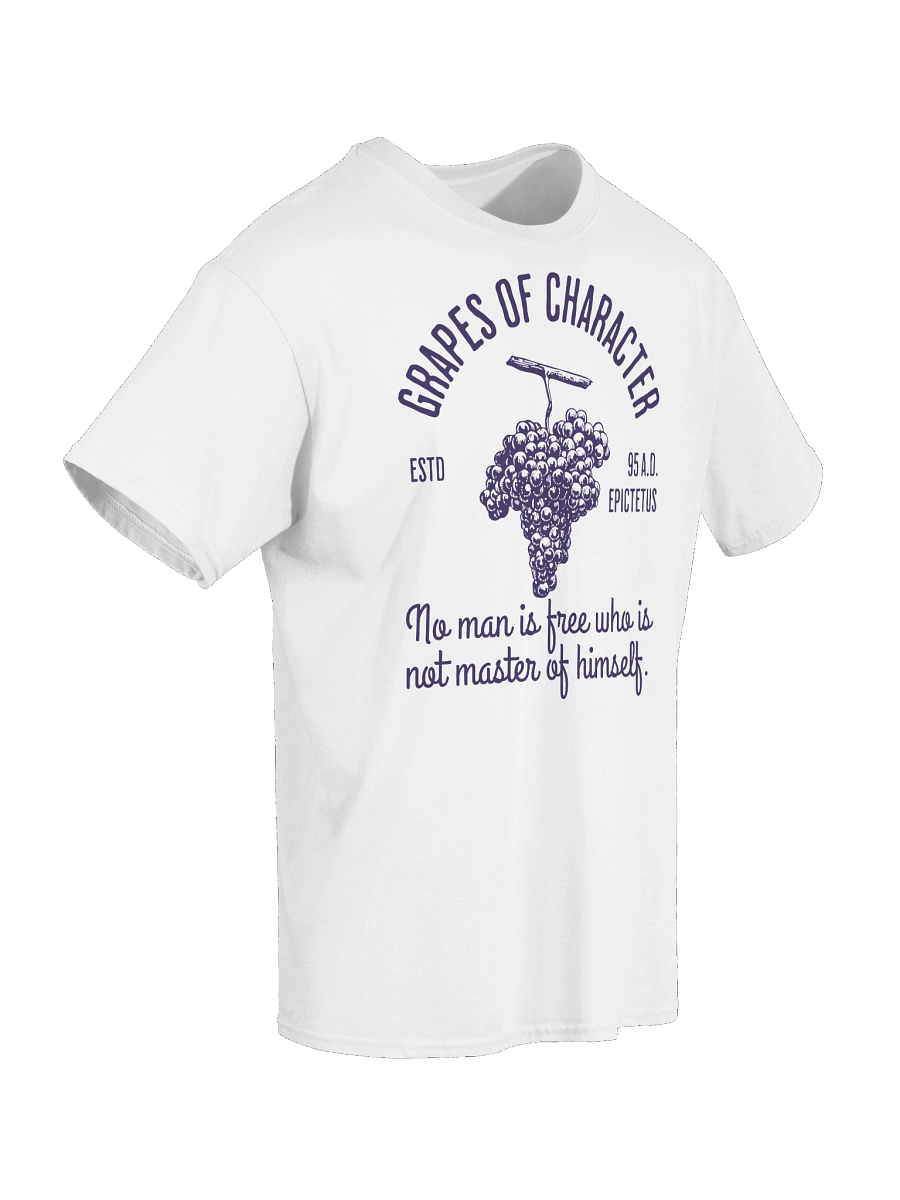 Stoic Grapes TSHIRT product image (7)