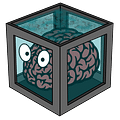HPBraincase