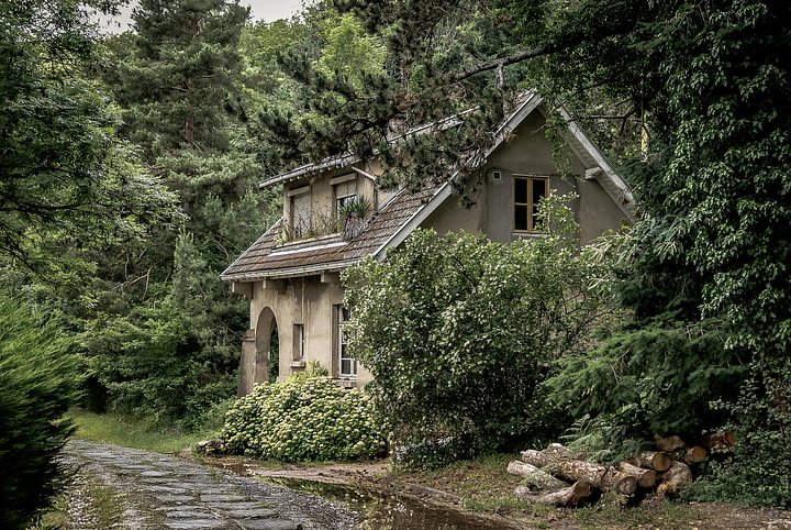 Fine Art Photography urbex - The Enchanted Forest Cottage product image (1)