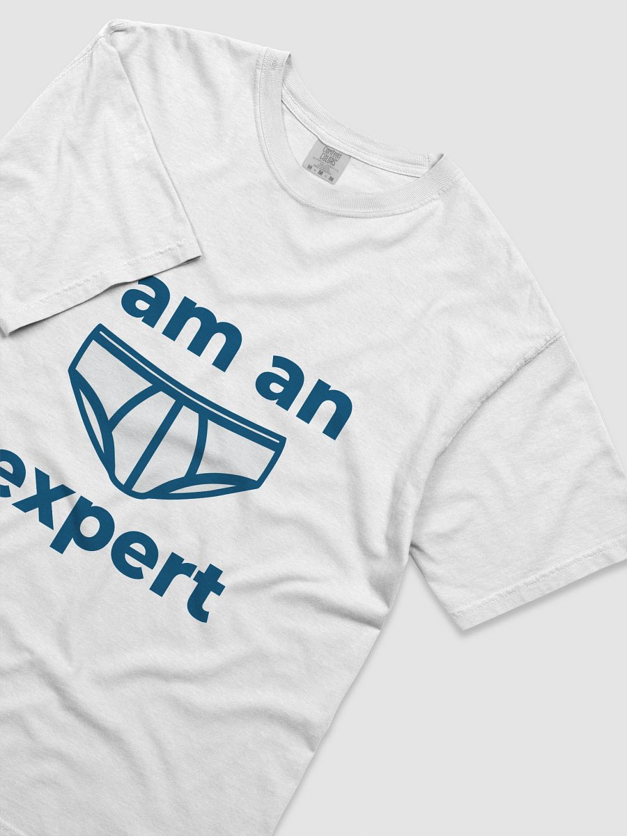 I Am An Expert T-Shirt product image (5)