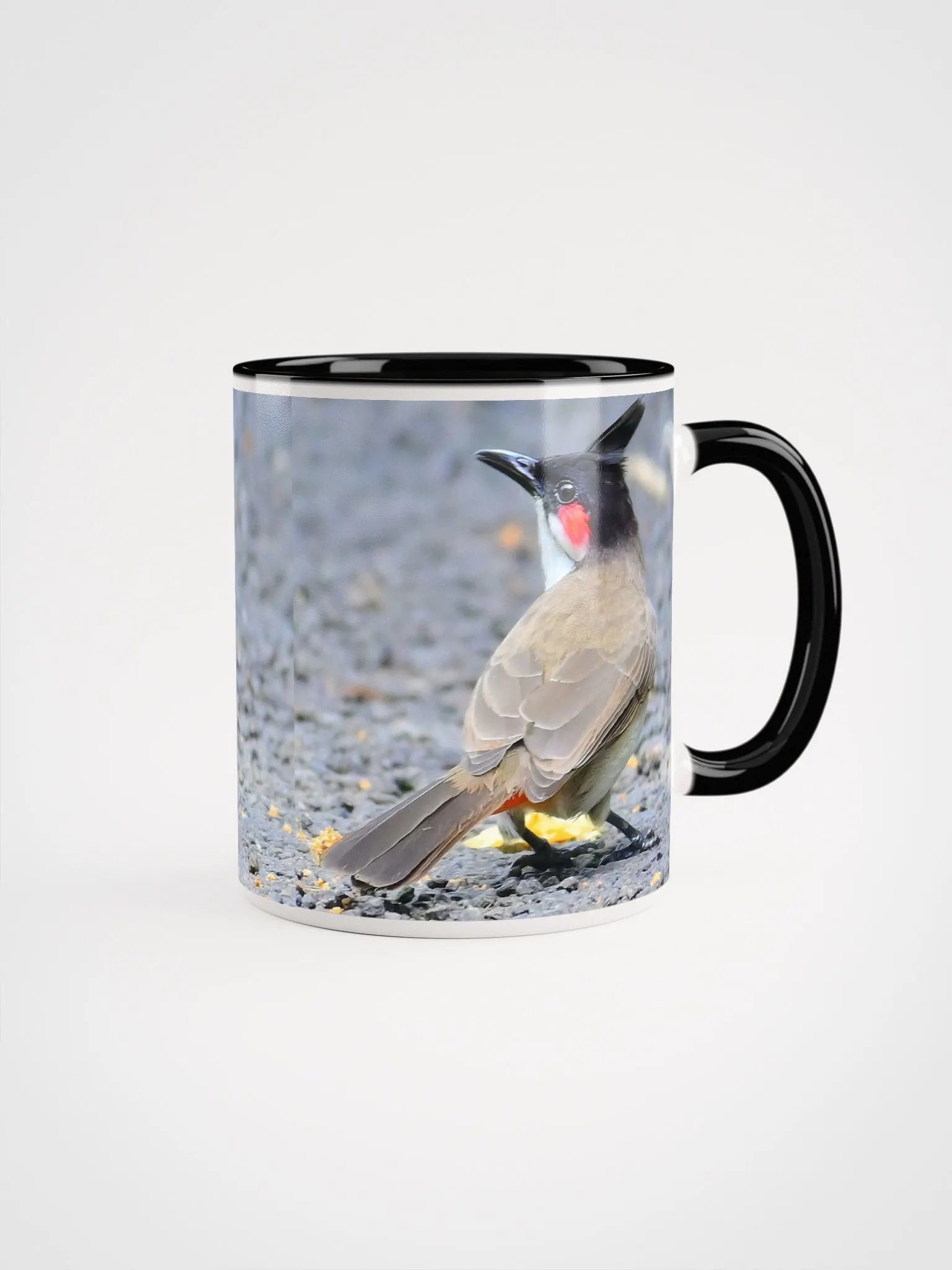 IUCAA Birds Photos product image (1)