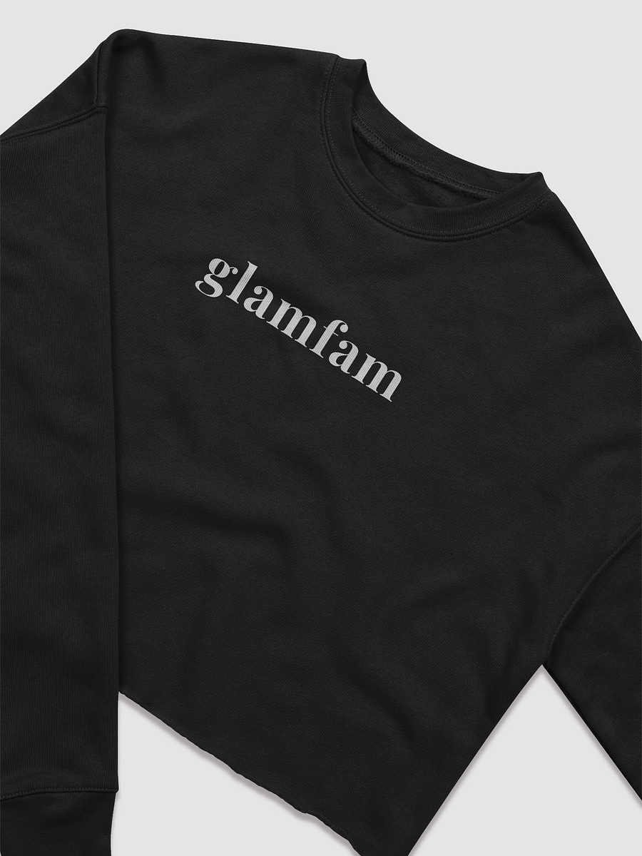 Glamfam Cropped Long-Sleeve product image (8)