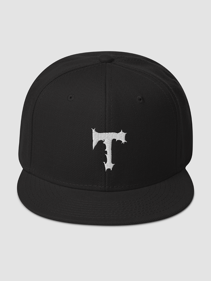 [Tyminatorsongs] Snapback | Otto Cap 125-978 (3D Puff) product image (2)