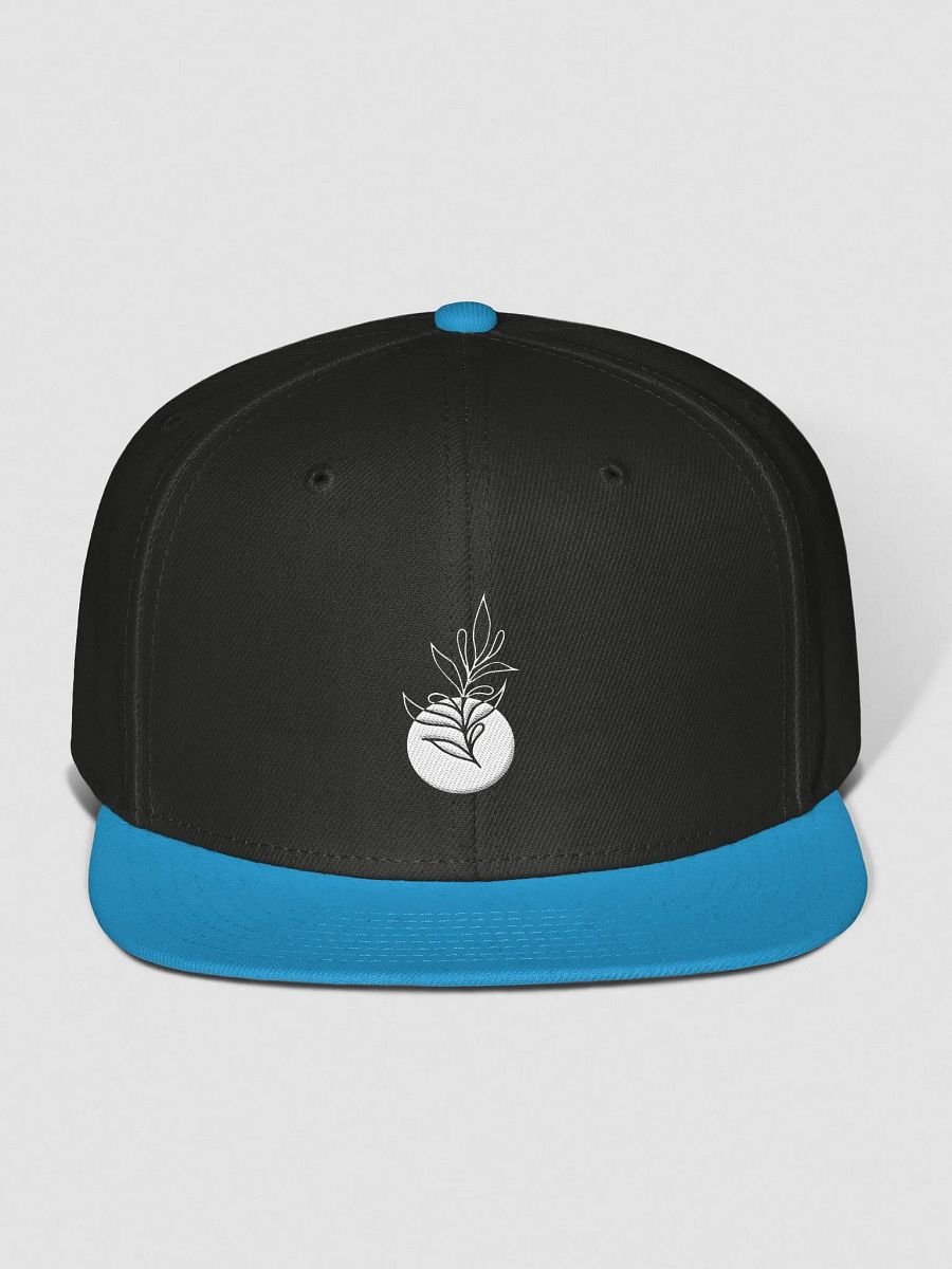 Common Ground - Snapback Cap product image (1)