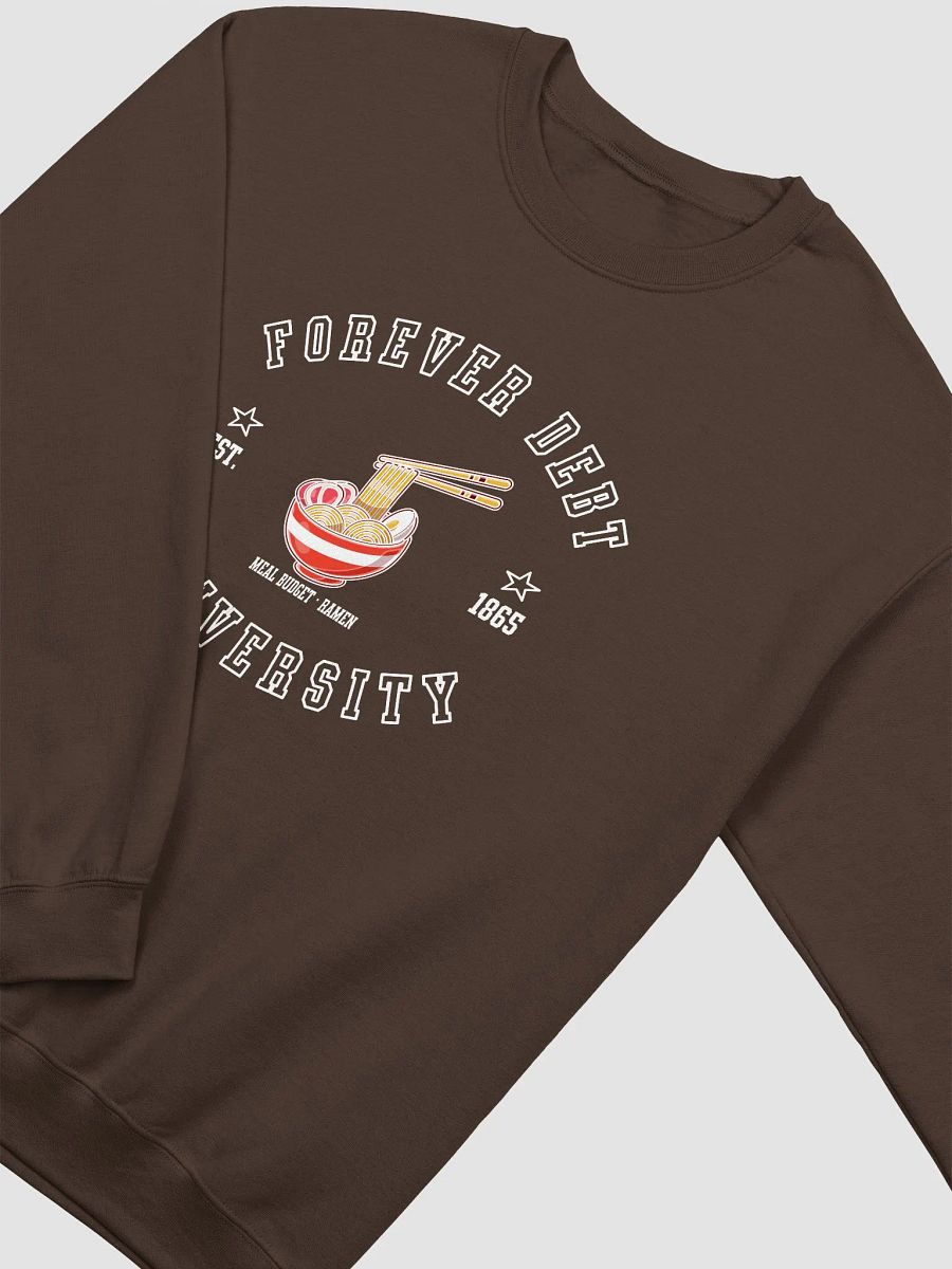 Forever Debt University - on a Ramen Budget Sweatshirt product image (17)
