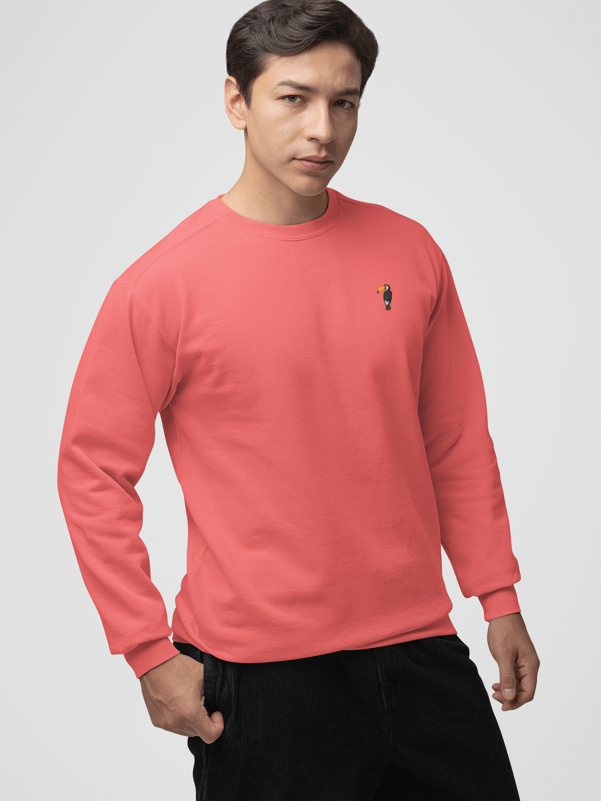 GUILLOVELO TOUCAN LINE DYED SWEATSHIRT product image (5)