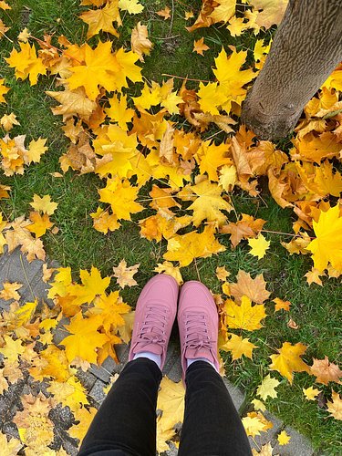 I usually walk with my head held high, but in this time of the year - my eyes are glued to the floor 🍁 
#autumn #autumnleaves...
