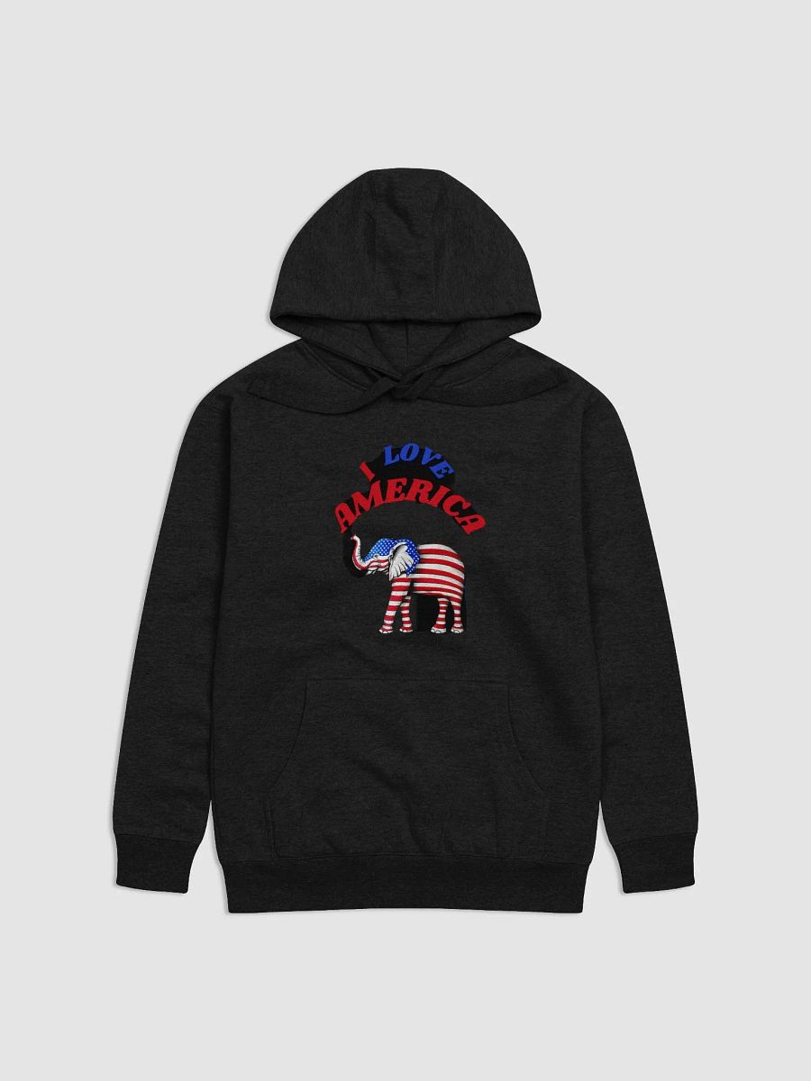 Block Unisex Hoodie Patriotic Color product image (2)