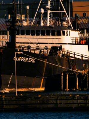 Born from the working tides of the Pacifica Northwest. ⚓️ This isn’t fashion. It’s grit stitched into fabric. Welcome to Twin Anchor Apparel — Strength in Every Tide. #pnwtuglife #pnwtugs #PNWMaritime #tugboatlife #twinanchorapparel