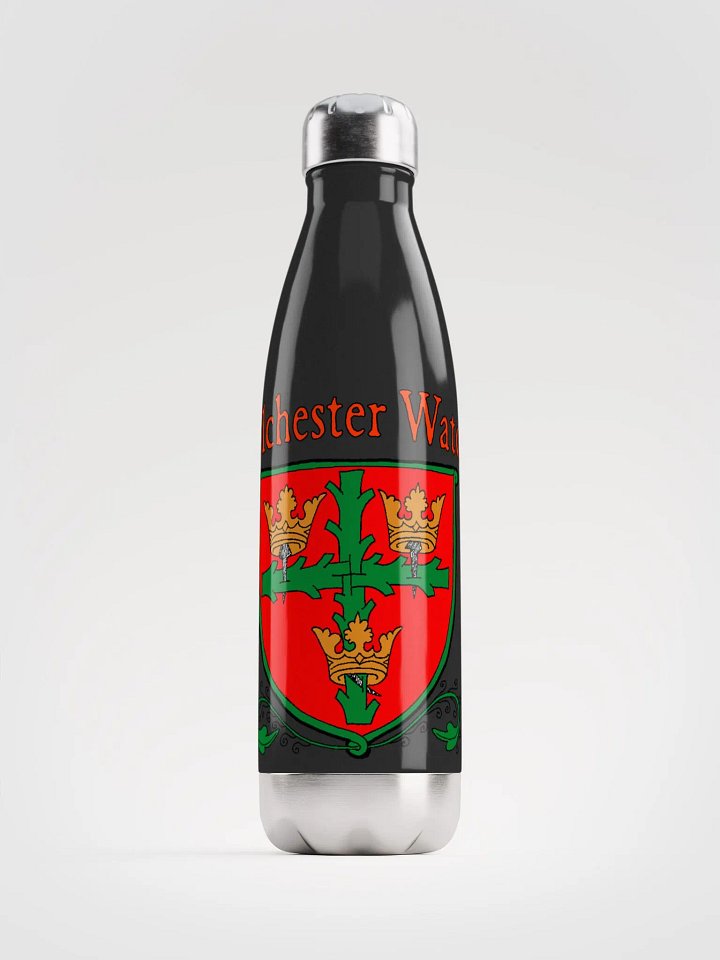 Stainless Steel Water Bottle product image (1)