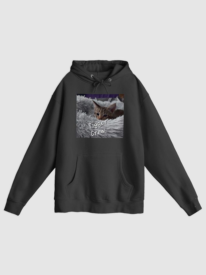 Tigger Crew Hoodie product image (1)