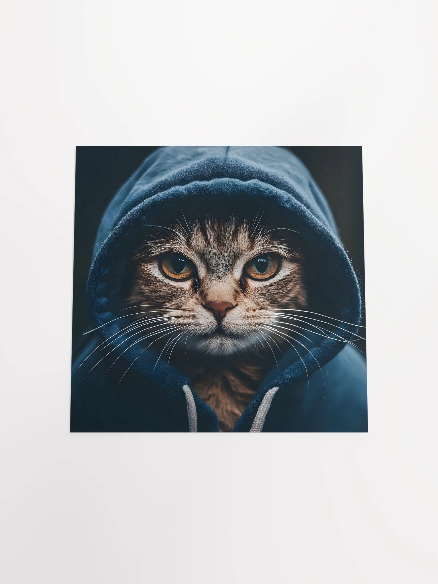 Hacker Cat product image (17)