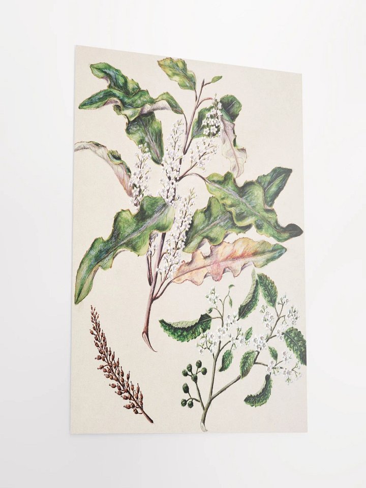 Flowers on Poster product image (4)