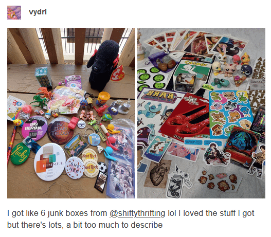 ShiftyThrifting Junk Box product image (5)