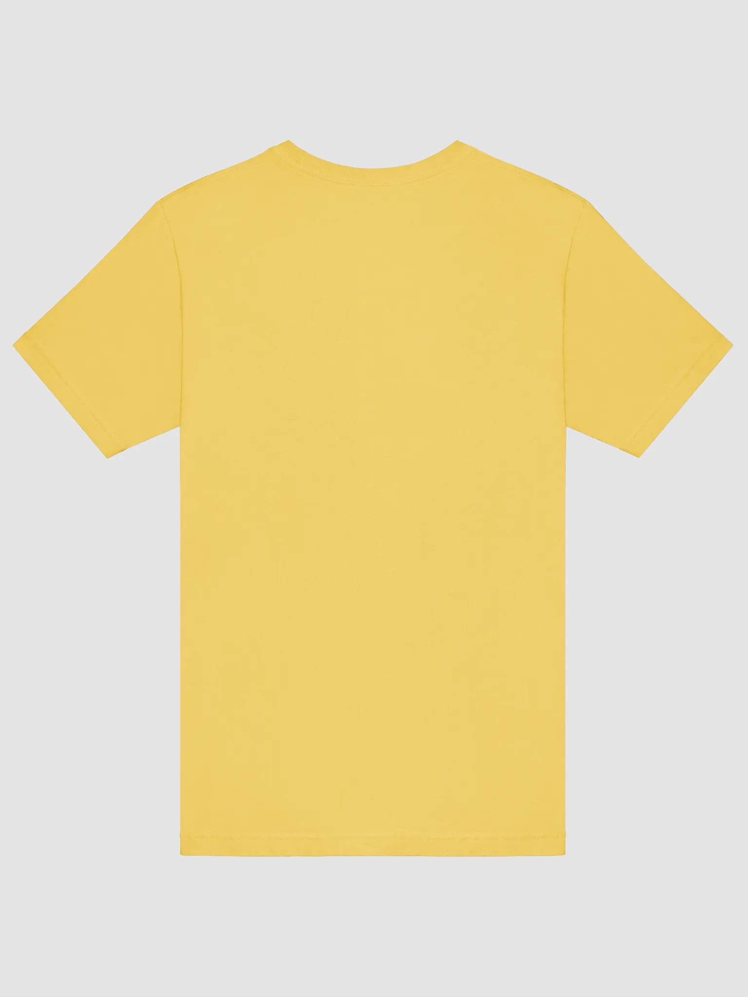 Traditional Values Unisex T-Shirt product image (2)
