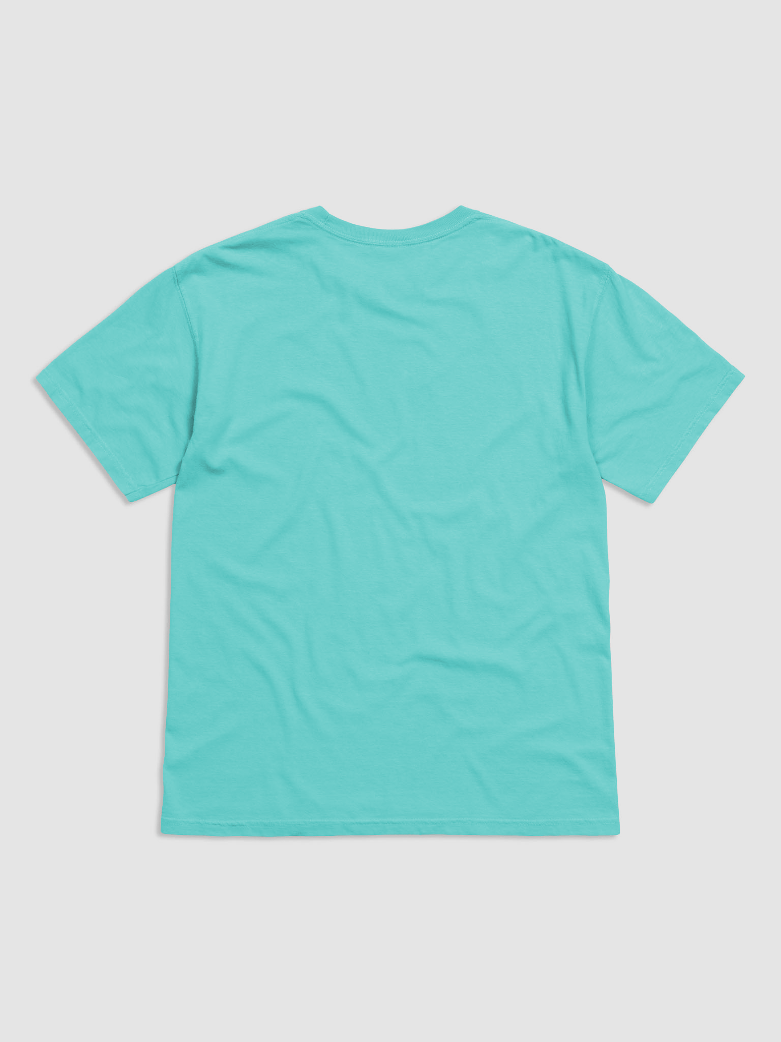 TTG&L - Teal product image (2)