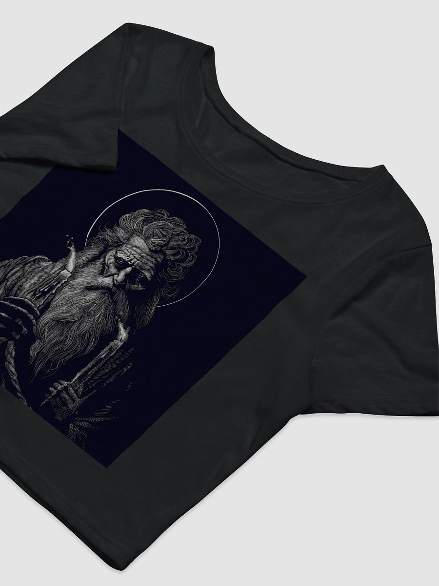 Prophet in Exile Crop Tee product image (5)