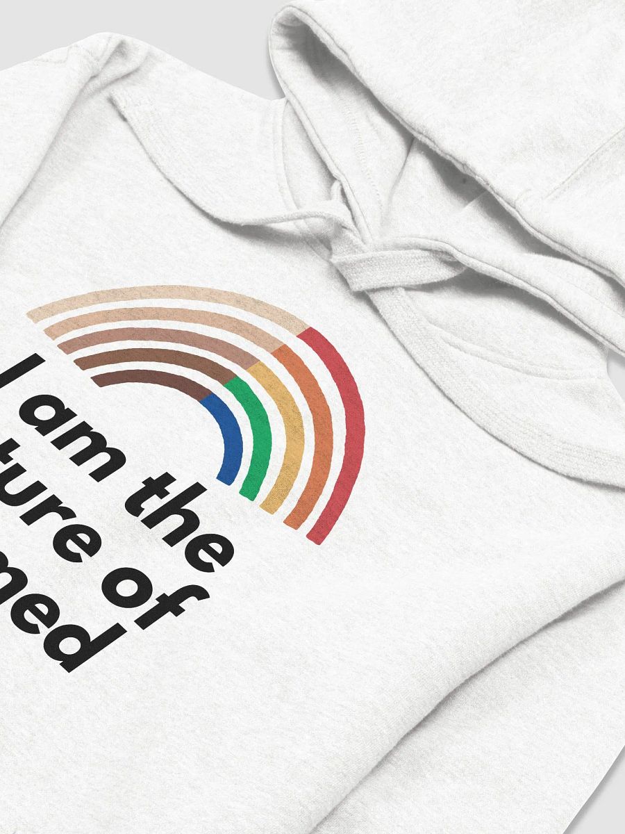 Pride - Future of Vet Med Hoodie product image (3)