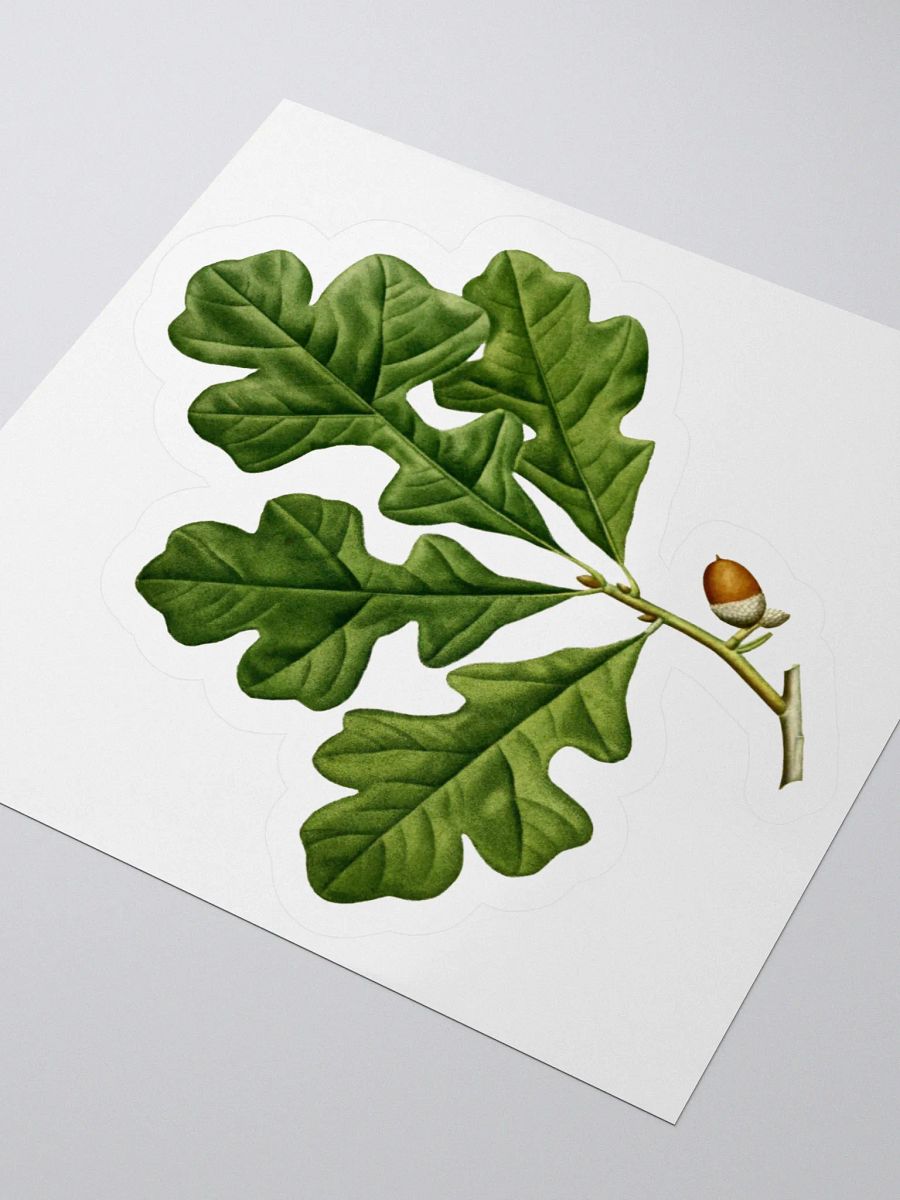 Post Oak Sticker product image (3)