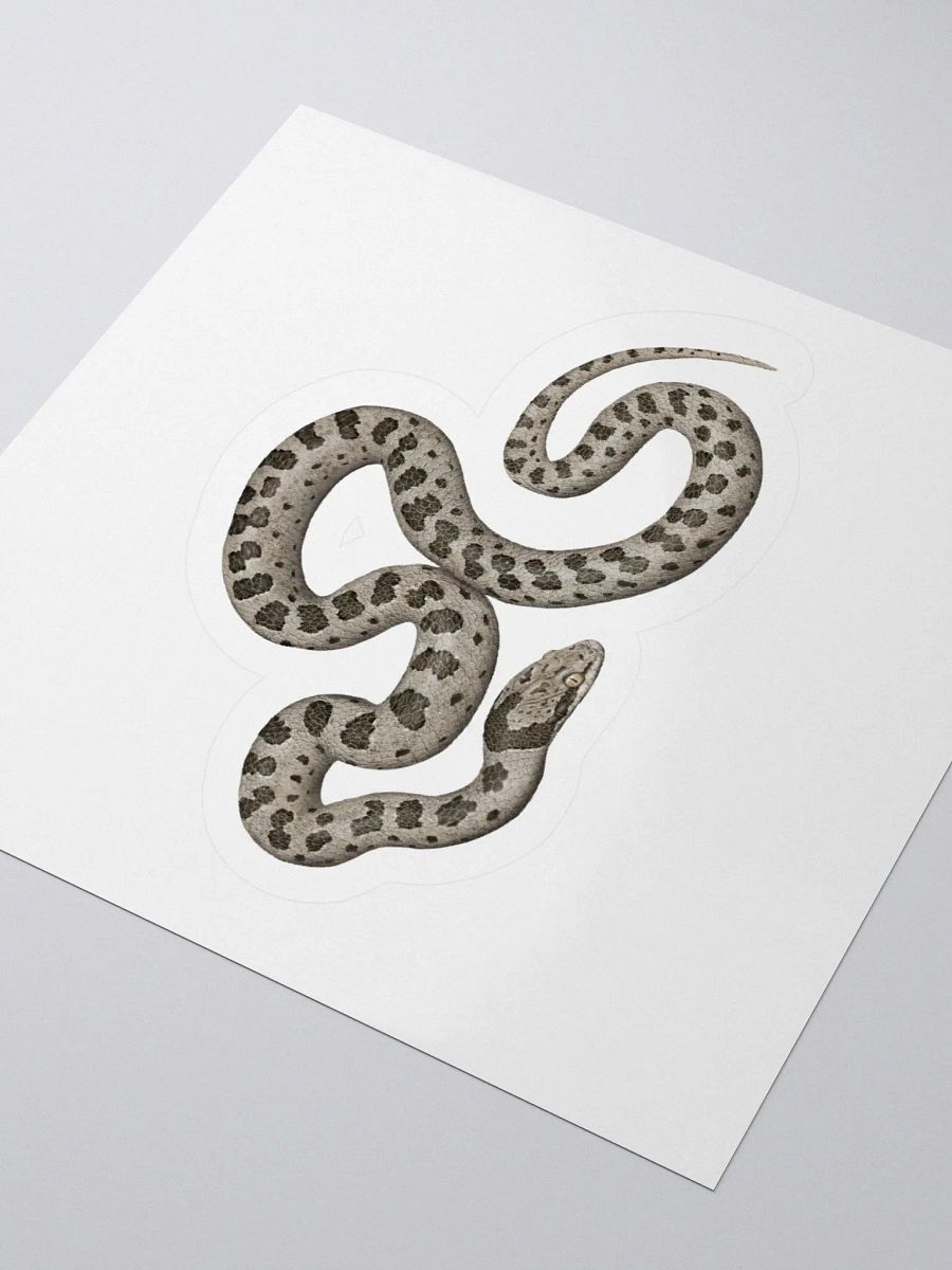 Die-Cut Sticker – Desert Nightsnake product image (3)